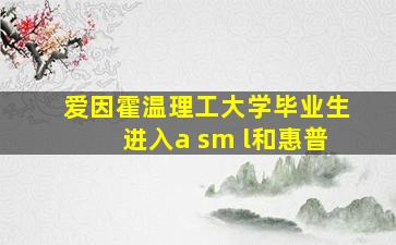 爱因霍温理工大学毕业生进入a sm l和惠普